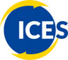 Año Escolar en Estados Unidos | ICES Logo